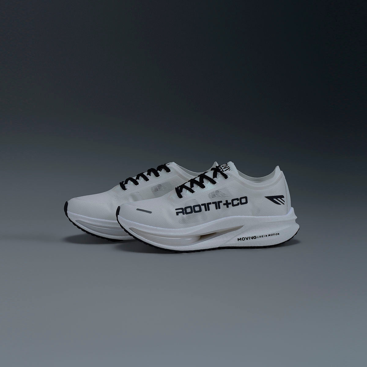 Tenis Deportivos Blancos