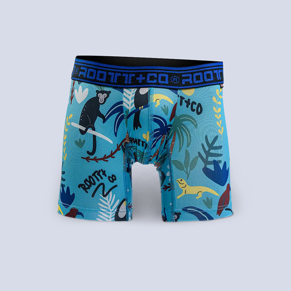 Boxer Kids